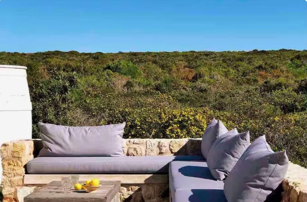 Terrace lounge in the fynbos